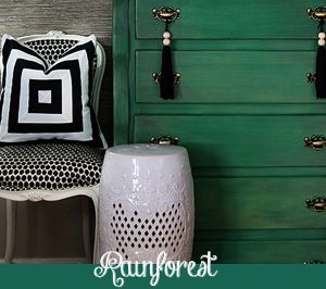 Rainforest Chalk Paint